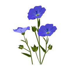 Flax flowers bouquet on white isolated background. Vector illustration.