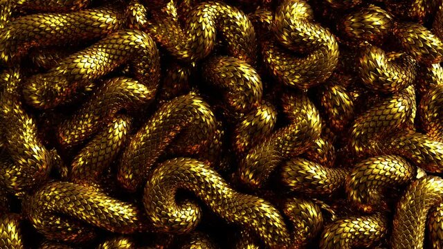 3d abstract background with tangled golden metallic snakes moving, shiny scales texture macro. Looping animation, continuous sequence