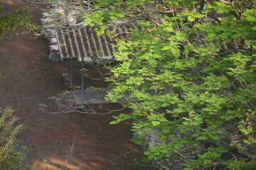 garden chair in garden