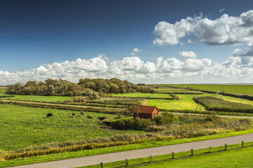 Typische Landschaft mit Weideflächen auf der Halbinsel Nordstrand, Nordfriesland, Schleswig-Holstein, Deutschland
