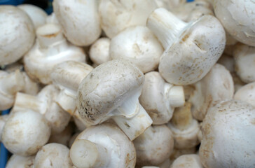 mushrooms on a market stall