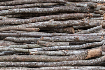 A pile of firewood. Cut wooden logs.