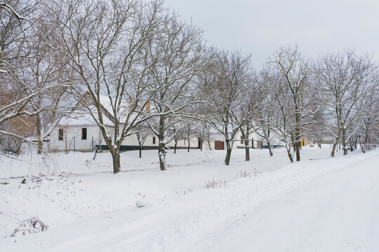 Traditional houses  in small village during heavy snow fall (Bakonyszucs, Hungary)