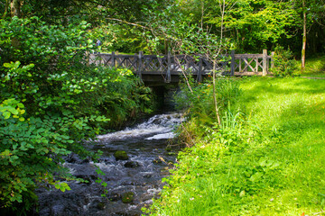 Fototapeta premium The small fast flowing river and falls at the Glencar waterfall that flows into Glencar Lough in County Leitrim in the north west of Ireland 