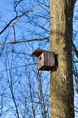 wooden house for wild birds on tree trunk against blue winter sky