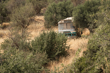 wrecked bus dumped among the trees along a road on the island of kythira