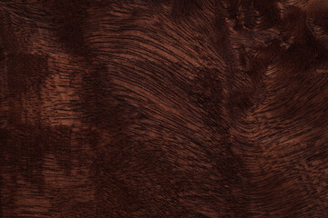 large frame brown wood texture High quality background made of dark natural wood in grunge style....