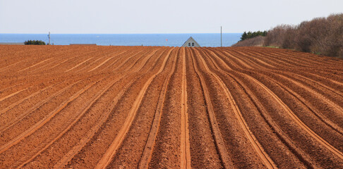 Prince Edward Island Red Plowed Fields 5635