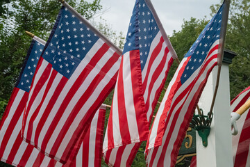 display of american flags