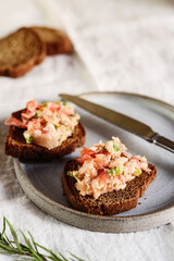 Homemade French dish rilette or pate. Two toasts salmon rillettes (pate) on rye bread on plate over beige linen tablecloth. Selective focus
