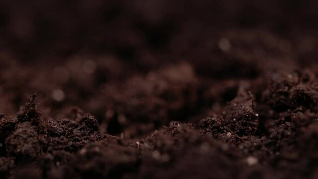 Macro shot of earth. Humus compost ground. Concept of agriculture farm, growing, eco earth, clean 