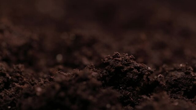 Macro shot of earth. Humus compost ground. Concept of agriculture farm, growing, eco earth, clean 