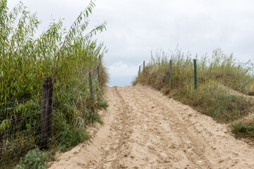 Access path to beach on Baltic coast, Poland