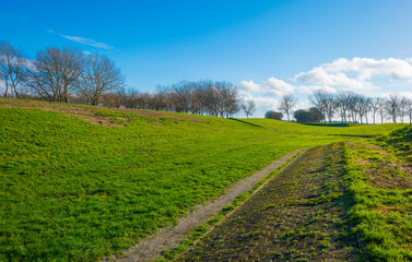 Dike in a green grassy field in wetland in sunlight under a blue sky in winter, Almere, Flevoland, The Netherlands, January 24, 2021
