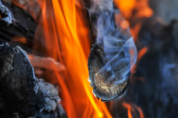 Dry logs burn on fire