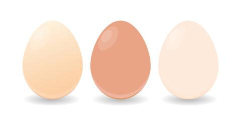 Easter eggs design. Eggs isolated white background Vector illustration