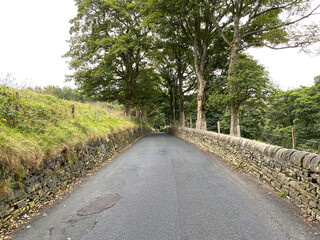 Fototapeta na wymiar View along, Oak Lane, with dry stone walls, wild plants, and trees, on a cloudy day in, Ripponden, Yorkshire, UK
