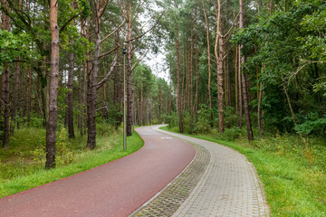 Walking and cycling path on Polish-German border © Glen