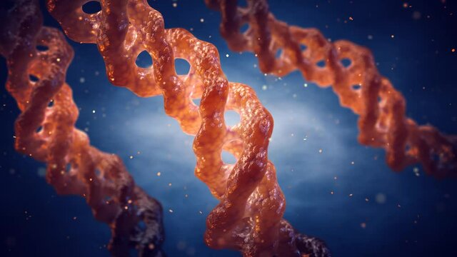 3D render animation of Collagen triple helix molecules, Collagen is the main component of bones, skin, muscle and tendons