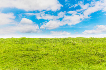 Fototapeta premium green meadow with blue sky