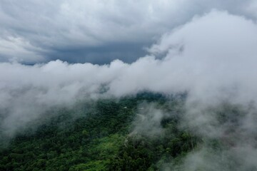 A dirt road leading to two houses with tin roofs in the Amazon rainforest