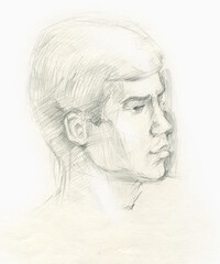 portrait of a boy in a graphic sketch