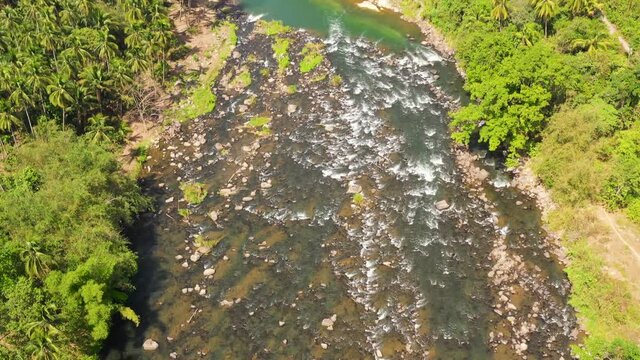 River in a rainforest among palm trees and tropical trees. Cagayan de Oro river. Mindanao, Philippines.