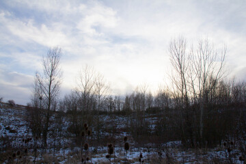 Obraz na płótnie Canvas sunset in the snowy forest