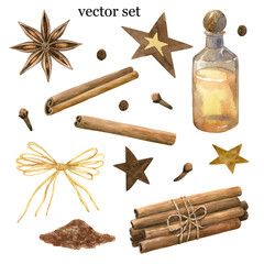 Winter spices. Cinnamon roll, pinch, star anise, clove, pepper. Bottle, stars and bow. Set of elements. Hand drawn watercolor illustration.