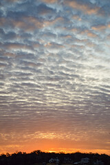 Fototapeta premium sunset in the sky