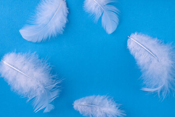 white feathers on a blue background, close-up