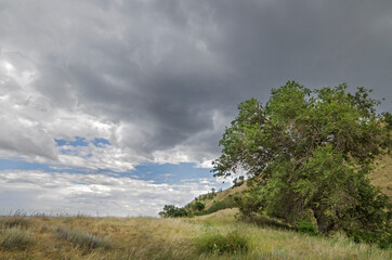 Obraz premium Steppe on the banks of the Volga