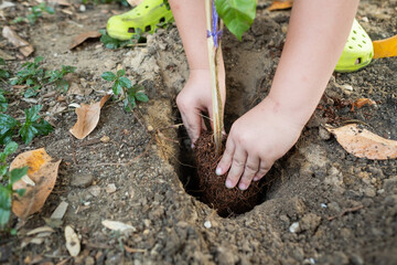 Children planting trees with nature background
