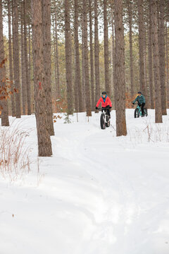 Group of attractive women riding fat bikes in the snow