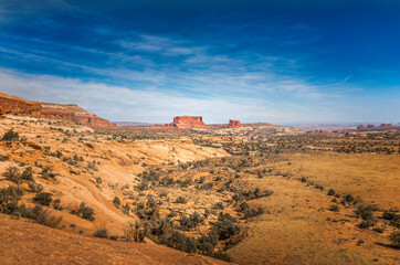 Fototapeta premium Scenic view on the Navajo Rocks in Utah, USA