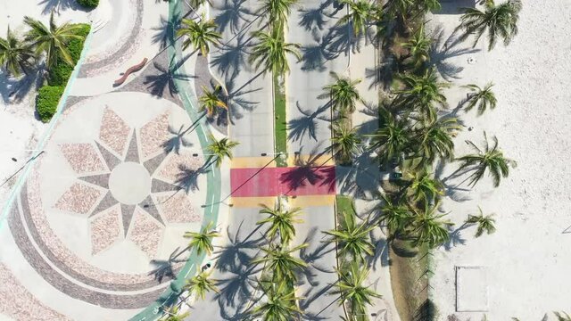 Camino tropical