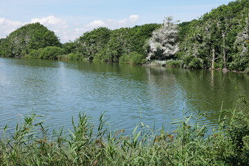 Warnker See im Nationalpark Müritz