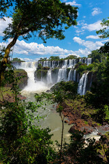 Fototapeta premium Wonderful vivid landscape of Iguazu Falls with water streams falling down among verdant vegetation in sunny day