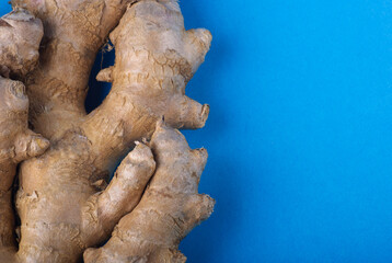 ginger on a blue background. in the photo, ginger root on a blue background, close-up