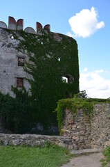 Zamek Bolków, wieża z bluszczem