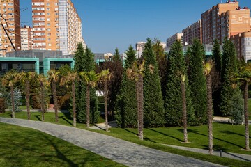 Football stadium in Krasnodar Park. Landscape with palm trees and administrative buildings against...