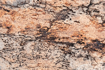 Panorama d'écorces de vieux bois rustique pour création d'arrière-plan.