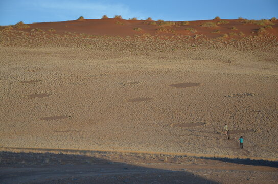 Feenkreise in der Namib