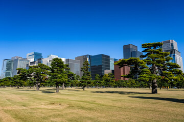 Obraz premium 東京都 皇居外苑の自然と丸の内、高層ビル群