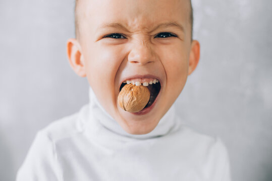 A Boy Child Tries To Crack A Walnut Showing Healthy Strong Baby Teeth