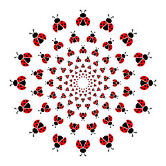 Ladybug mandala