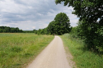 Fototapeta na wymiar Wanderweg im Müritz-Nationalpark an der Müritz in Mecklenburg-Vorpommern