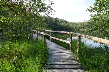 Fototapeta na wymiar Steg mit Holzgeländer und See im Müritz-Nationalpark an der Müritz in Mecklenburg-Vorpommern
