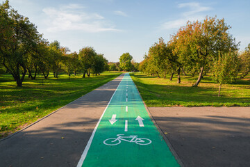 Bike path in summer park. Marking on the asphalt.
