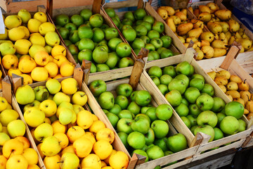 fruits in the market